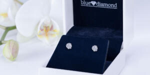 Blue Diamond Yenilikçi Adımlarıyla Dikkat Çekiyor