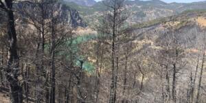 Adana da 4 bin 150 hektar orman alanı zarar gördü
