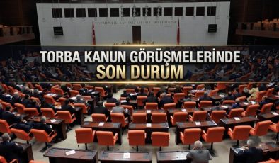 TORBA YASA GEÇTİ, YASADA NELER VAR