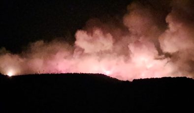 Aladağ’da Orman Yangını Kontrol Altına Alındı